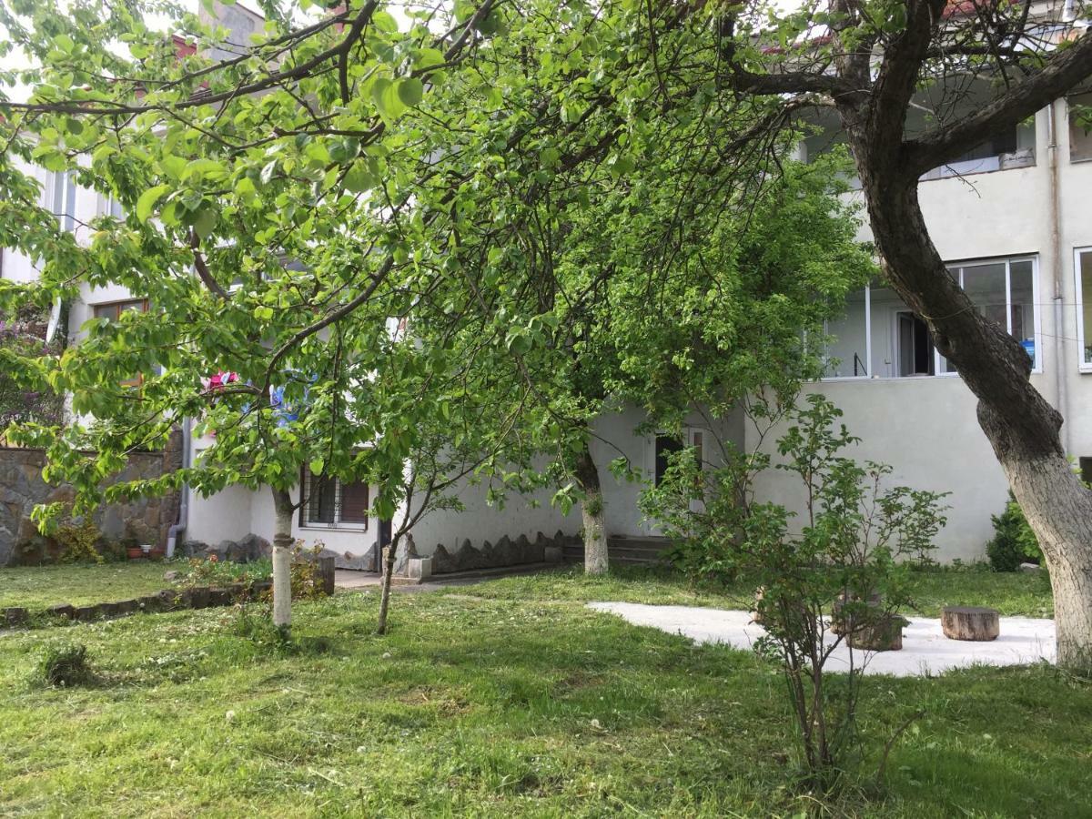 Квартира-Студия В Стиле Шале Truskavets Exterior photo